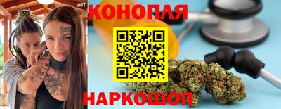 дмт Обь