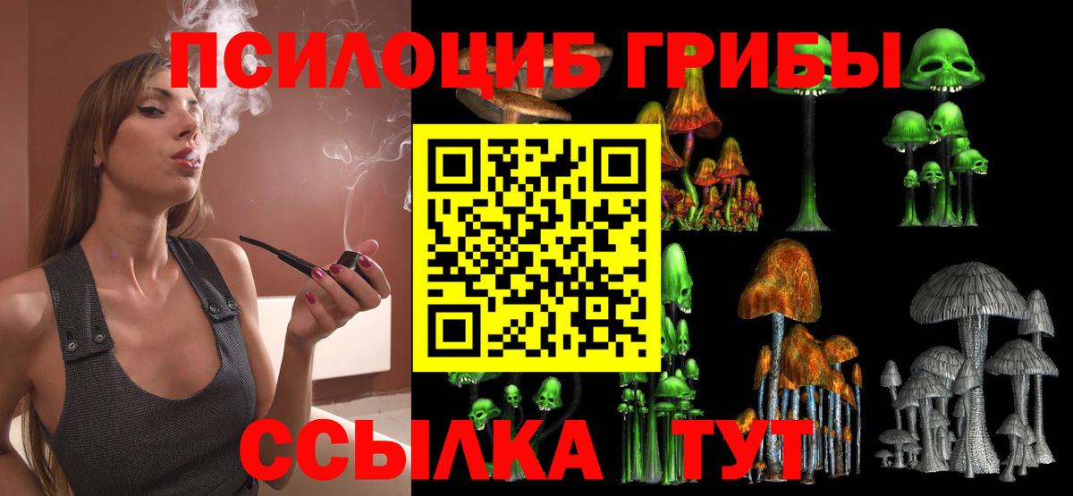 Псилоцибиновые грибы Psilocybine cubensis  Вход с VPN  купить наркоту  Среднеуральск  Псилоцибиновые грибы MAGIC MUSHROOMS 